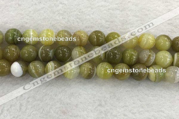 CAA1956 15.5 inches 16mm round banded agate gemstone beads