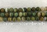 CAA1976 15.5 inches 16mm round banded agate gemstone beads