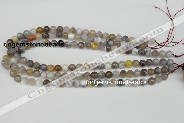 CAA224 15.5 inches 8mm round botswana agate gemstone beads