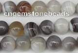 CAA225 15.5 inches 10mm round botswana agate gemstone beads