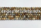 CAA2349 15.5 inches 6mm round crazy lace agate beads wholesale