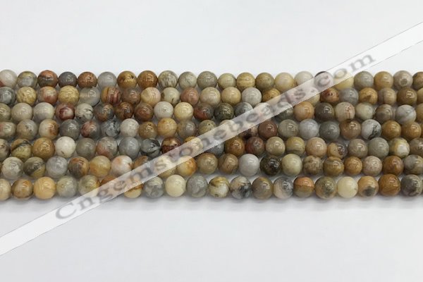 CAA2349 15.5 inches 6mm round crazy lace agate beads wholesale