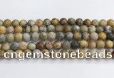 CAA2351 15.5 inches 10mm round crazy lace agate beads wholesale