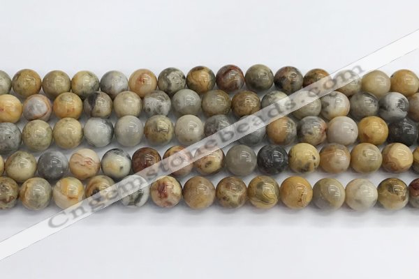 CAA2351 15.5 inches 10mm round crazy lace agate beads wholesale