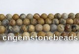 CAA2353 15.5 inches 14mm round crazy lace agate beads wholesale