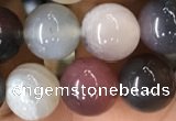 CAA2381 15.5 inches 10mm round Botswana agate beads wholesale