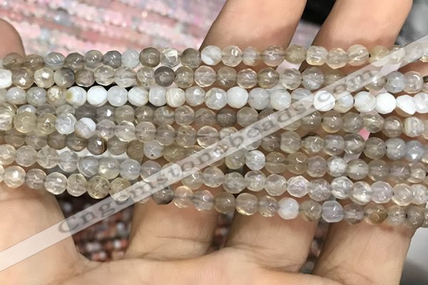 CAA3274 15 inches 4mm faceted round agate beads wholesale