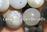 CAA3577 15.5 inches 8mm round parral dendrite agate beads