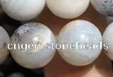 CAA3578 15.5 inches 10mm round parral dendrite agate beads