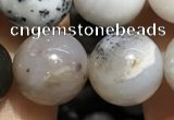 CAA3579 15.5 inches 12mm round parral dendrite agate beads