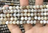 CAA3582 15.5 inches 6mm round ocean fossil agate beads wholesale