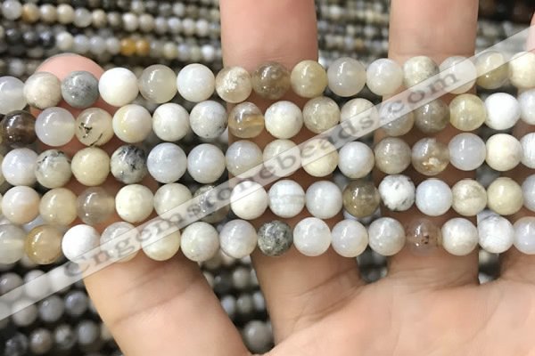 CAA3582 15.5 inches 6mm round ocean fossil agate beads wholesale