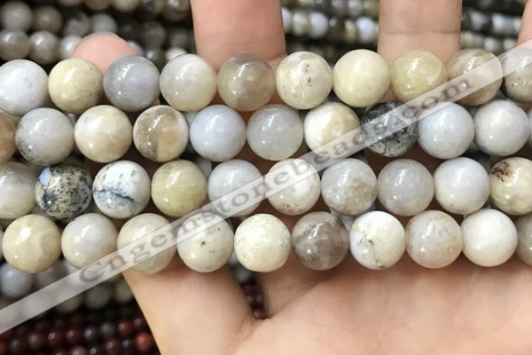 CAA3585 15.5 inches 12mm round ocean fossil agate beads wholesale