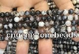 CAA3591 15.5 inches 4mm round black zebra agate beads wholesale