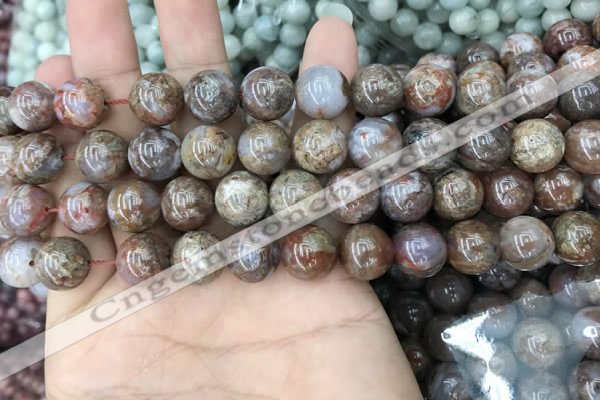 CAA3636 15.5 inches 4mm round flower agate beads wholesale