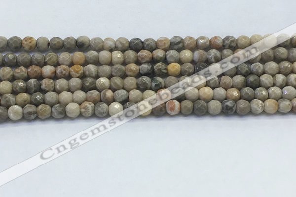 CAA3960 15.5 inches 4mm faceted round chrysanthemum agate beads