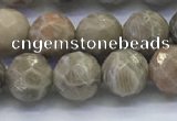 CAA3962 15.5 inches 8mm faceted round chrysanthemum agate beads