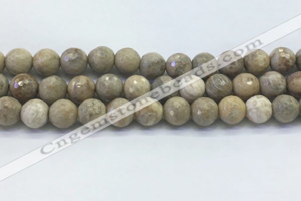 CAA3964 15.5 inches 12mm faceted round chrysanthemum agate beads