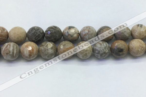 CAA3967 15.5 inches 18mm faceted round chrysanthemum agate beads