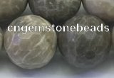 CAA3968 15.5 inches 20mm faceted round chrysanthemum agate beads