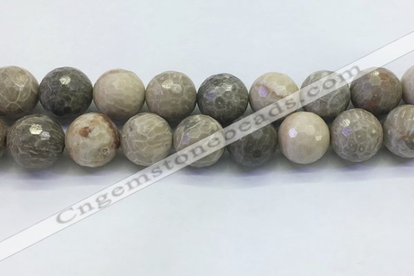 CAA3968 15.5 inches 20mm faceted round chrysanthemum agate beads