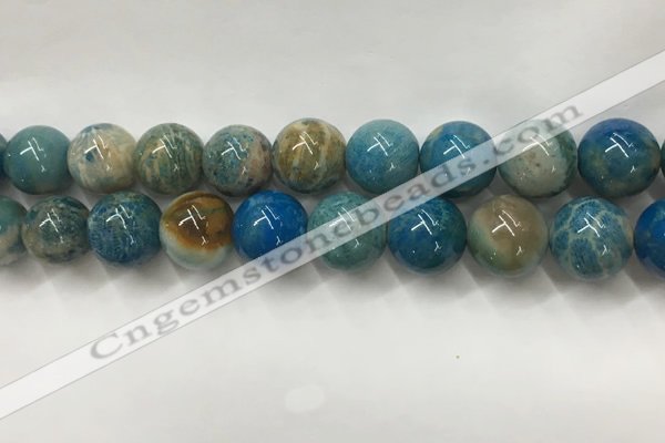 CAA3982 15.5 inches 16mm round chrysanthemum agate beads