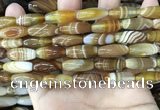 CAA4165 15.5 inches 8*20mm rice line agate beads wholesale