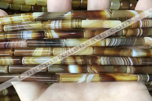 CAA4177 15.5 inches 5*24mm tube line agate beads wholesale