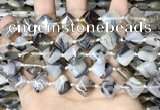 CAA4380 15.5 inches 12*12mm diamond Montana agate beads