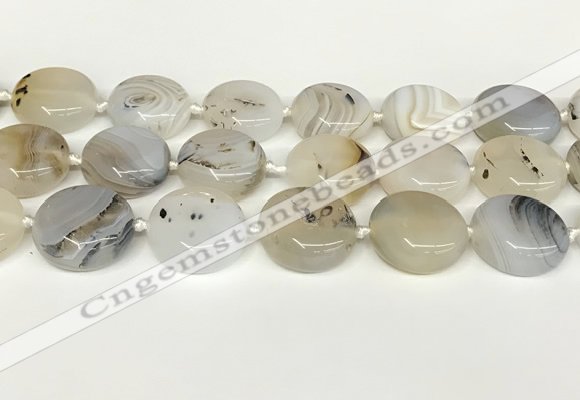 CAA4390 15.5 inches 25mm flat round Montana agate beads