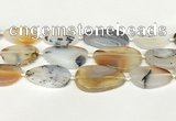 CAA4394 15.5 inches 18*28mm - 30*45mm freeform Montana agate beads