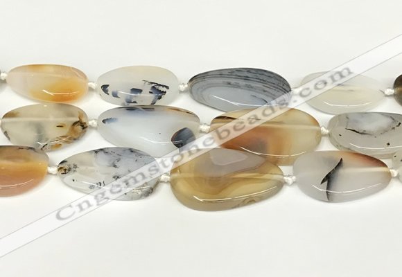 CAA4394 15.5 inches 18*28mm - 30*45mm freeform Montana agate beads