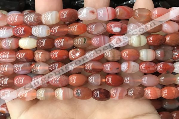 CAA4567 15.5 inches 7*10mm - 8*11mm rice south red agate beads