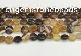 CAA4588 15.5 inches 12mm flat round banded agate beads wholesale