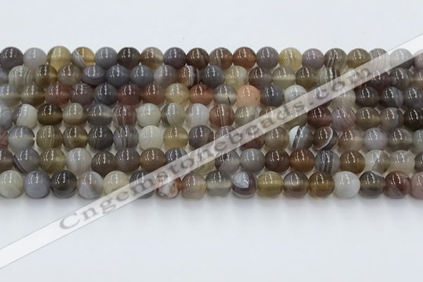 CAA4865 15.5 inches 6mm round Botswana agate beads wholesale