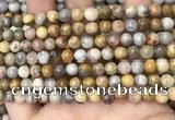 CAA4934 15.5 inches 6mm round yellow crazy lace agate beads wholesale