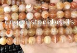 CAA4952 15.5 inches 10mm round Madagascar agate beads wholesale