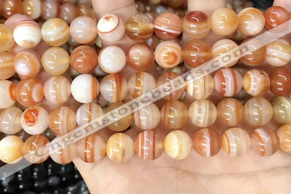 CAA4952 15.5 inches 10mm round Madagascar agate beads wholesale