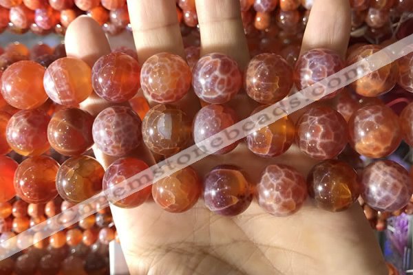 CAA5076 15.5 inches 16mm round red dragon veins agate beads