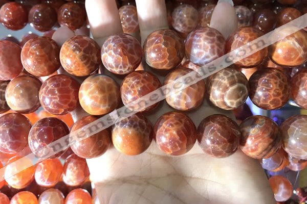 CAA5078 15.5 inches 20mm round red dragon veins agate beads