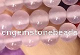 CAA5081 15.5 inches 6mm round purple agate beads wholesale