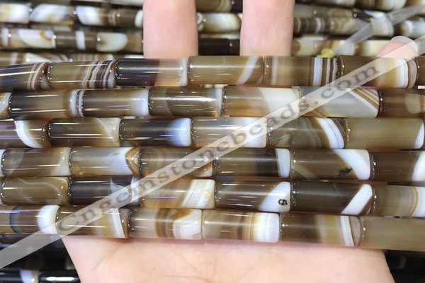 CAA5126 15.5 inches 8*20mm tube striped agate beads wholesale