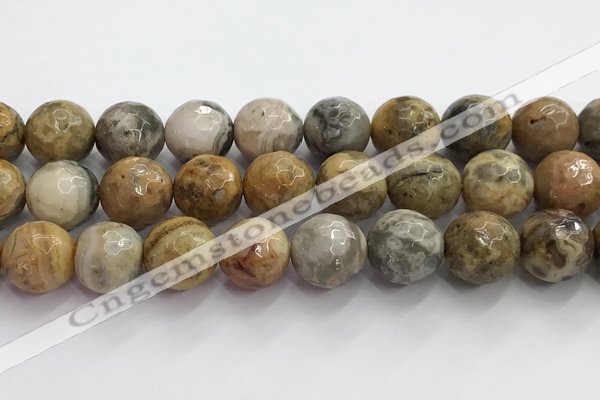 CAA5295 15.5 inches 14mm faceted round crazy lace agate beads wholesale