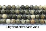 CAA6104 15.5 inches 12mm round chrysanthemum agate gemstone beads