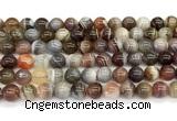 CAA6139 15 inches 8mm round Botswana agate beads wholesale