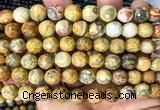 CAA6455 15 inches 10mm faceted round yellow crazy lace agate beads