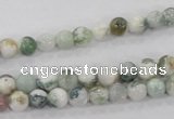 CAA700 15.5 inches 6mm round tree agate gemstone beads wholesale