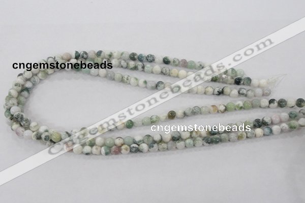 CAA700 15.5 inches 6mm round tree agate gemstone beads wholesale