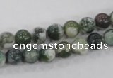 CAA701 15.5 inches 8mm round tree agate gemstone beads wholesale