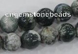 CAA703 15.5 inches 12mm round tree agate gemstone beads wholesale